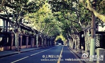 上海最美的9个漫步地点