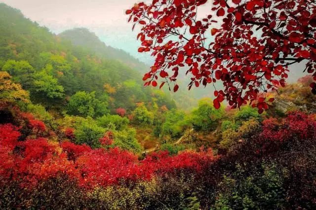 白银坨风景区位于顺平县永兴村,是保定西北部第一道高峰区