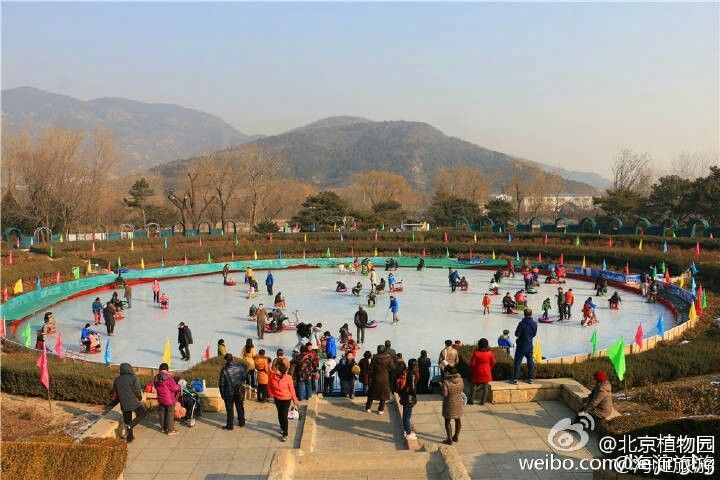 2016北京植物园冰场开放时间门票价格及项目