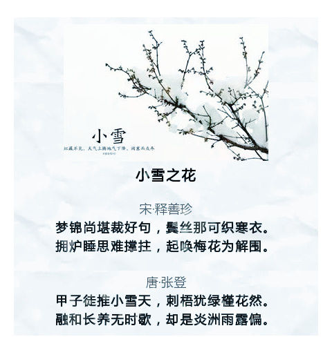 关于小雪节气的诗句盘点 感受诗人眼中的小雪