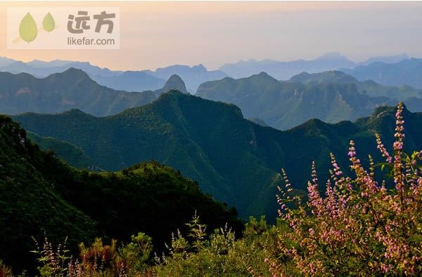 蒲洼乡四季美景展示- 北京本地宝