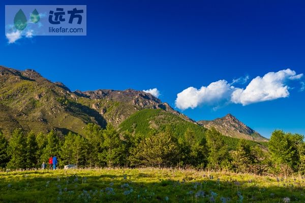 蒲洼乡四季美景展示- 北京本地宝