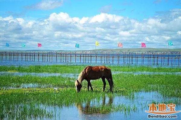 内蒙古春季踏青旅游最值得去的景区-呼伦湖