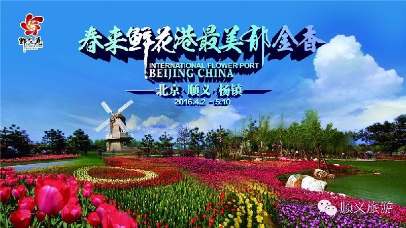 2016年北京顺义国际鲜花港郁金香文化节 4月