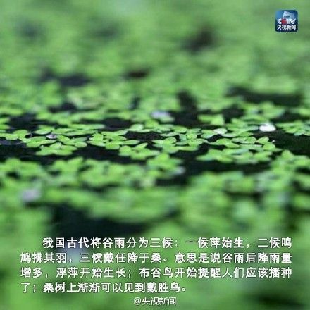 2016谷雨是几月几日?具体时间及气候特点节气