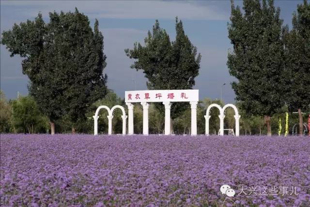 北京紫谷伊甸园游玩攻略(赏花 情侣 亲子 骑马 露营)
