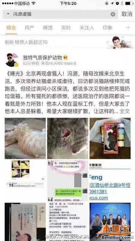 北京虐猫男子姓名照片住址曝光 手段残忍令人