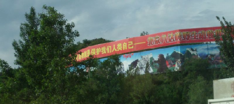 点击查看下一页