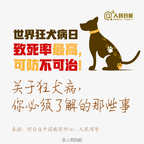 2016年9月28日世界狂犬病日 预防狂犬病你必须知道这- 北京本地宝
