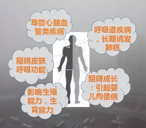 雾霾对人体的危害有哪些?看图就好!- 北京本地宝
