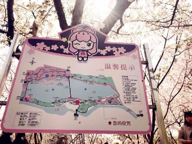 2019玉渊潭樱花节赏樱攻略(路线 门票 交通)