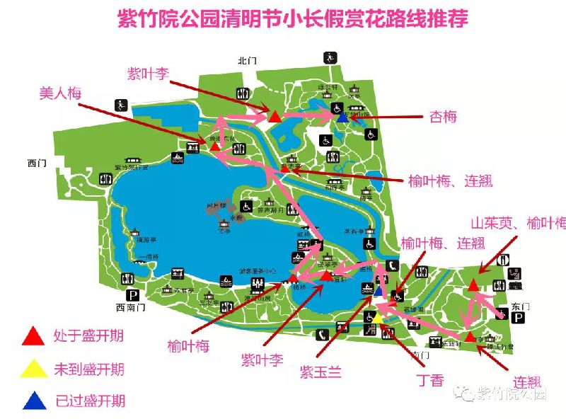 北京紫竹院公园春季游园指南(赏花 游船 路线)