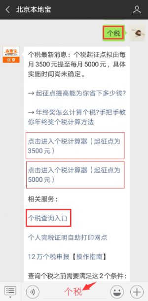 北京个人所得税手机查询指南