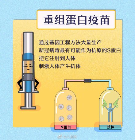 中国疫苗可能有比较长期的保护作用(9图了解新冠疫苗)