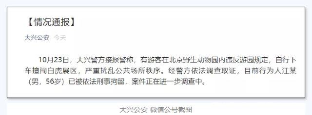 北京游客违规下车与虎群对峙被刑拘是怎么回事?