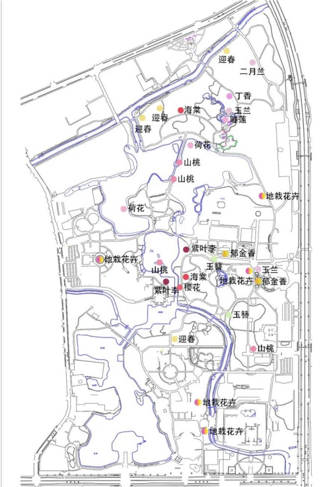 北京朝阳公园踏青赏花地图一览