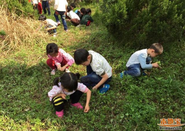 成都清明周边踏青一日游线路推荐 