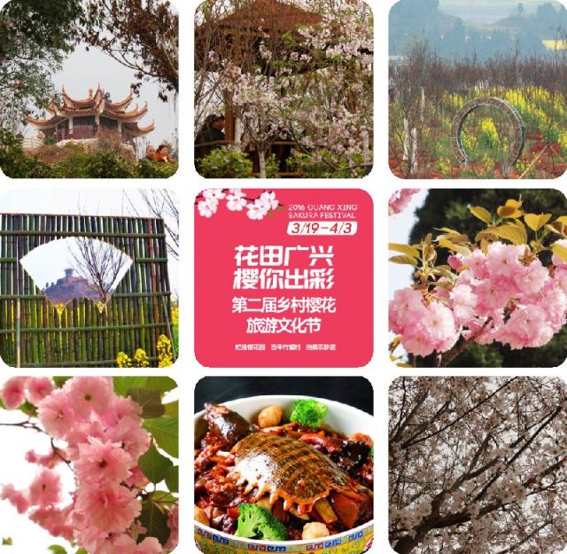 2016金堂广兴樱花节时间地点玩耍攻略