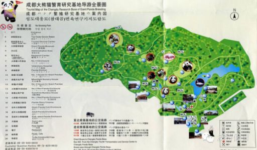 成都大熊貓繁育基地旅游攻略