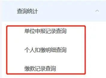 成都自然人電子稅務局扣繳線上辦理