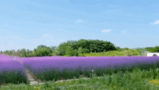 2019年暑假中高考生成都景區門票優惠詳情