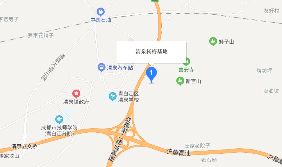 成都楊梅采摘基地在哪里？