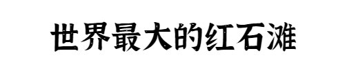 2020端午四川“世界之最”景区游玩推荐