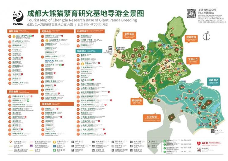 成都熊猫基地门票多少一张2022