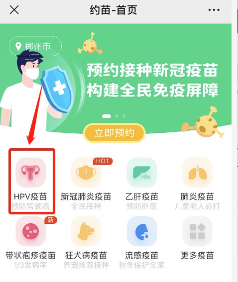 郴州四价HPV疫苗约苗预约指南(入口 流程)