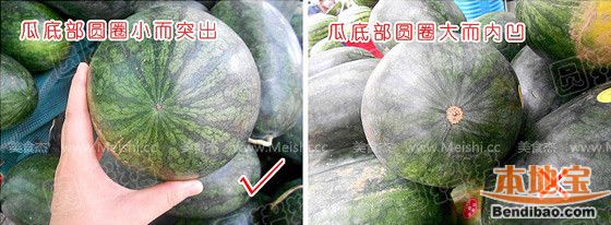 反之,瓜蒂干枯的,表示采摘已久,瓜不新鲜了