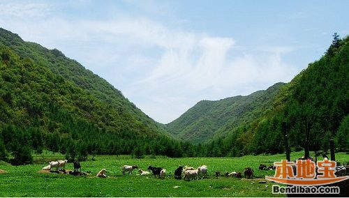 4,开县雪宝山草场