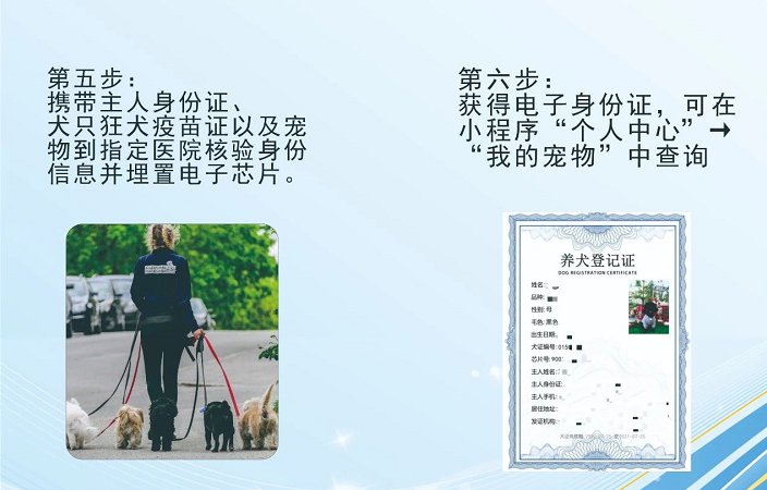 重庆北碚养犬网上登记入口