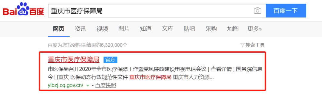 重庆市医疗保障局公众信息网上线