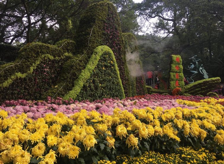 2019重庆鹅岭公园菊花展时间,地点,门票