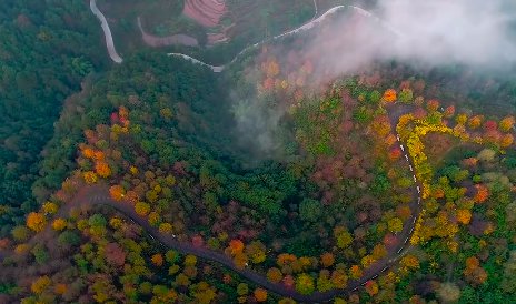 2020重庆丰盛彩色森林最佳观赏时间
