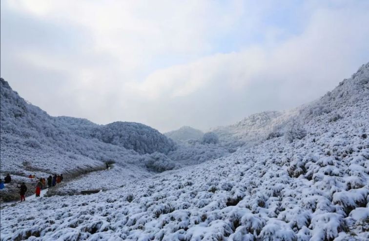 2021重庆金佛山下雪时间及图片