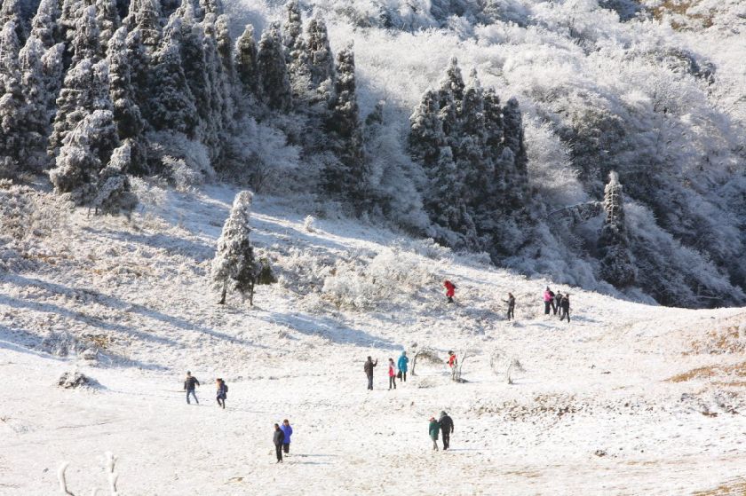 重庆冬天有哪些地方可以看雪 重庆看雪好去处