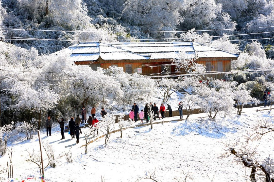 重庆金佛山看雪攻略（时间 门票 交通路线）