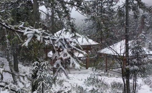 彭水摩围山雪景图片