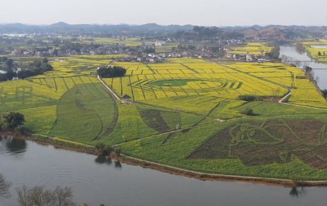 2021重庆潼南油菜花节现场图片(持续更新)