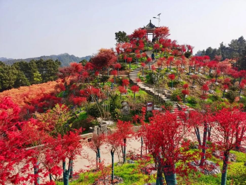 巴南五洲园一日游攻略(景点介绍 路线)