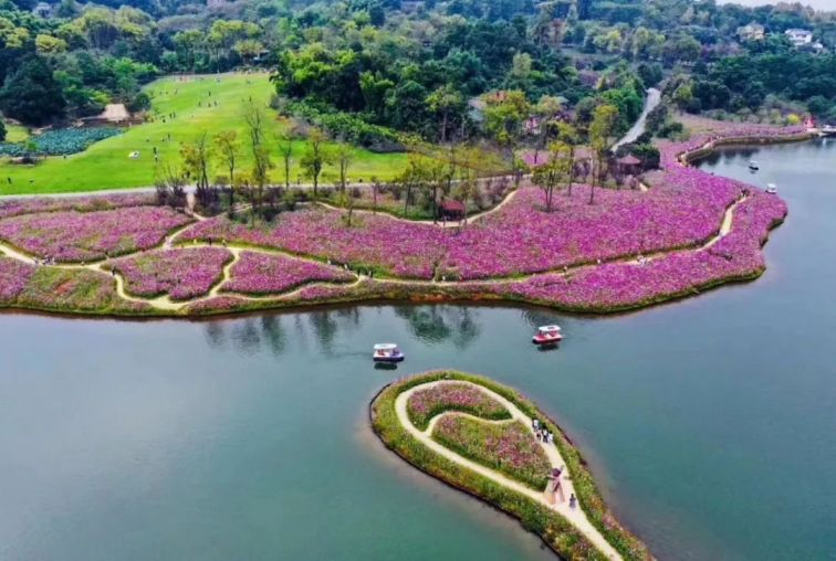 重庆旅游 重庆景点 景点攻略 > 2020重庆巴南云林天乡景区医务工作者