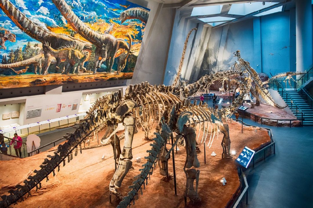 重庆自然博物馆要门票吗？多少钱？