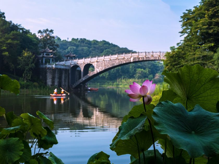 重庆旅游 重庆景点 景点攻略 > 2021重庆华岩寺荷花观赏攻略(时间