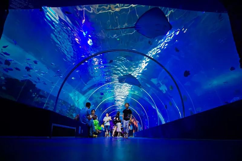 重庆汉海海洋公园69.9元