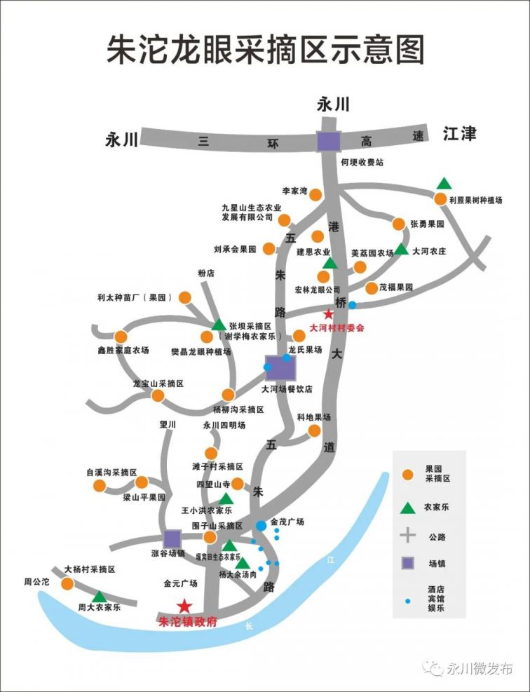 2020重庆永川朱沱镇龙眼采摘攻略（时间、地点、价格）