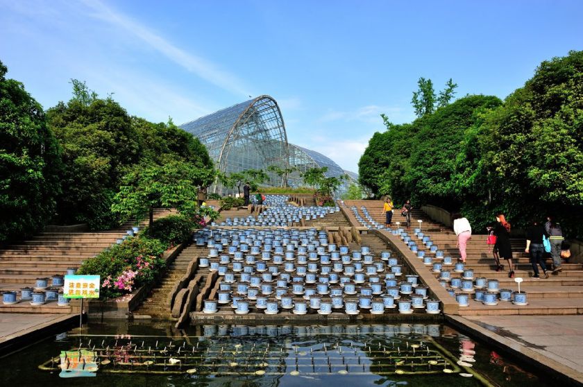 2021重庆南山植物园临时关闭场所恢复开放公