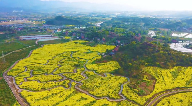 重庆旅游 重庆景点 景点攻略 > 重庆梁平金带街道油菜花海赏花攻略