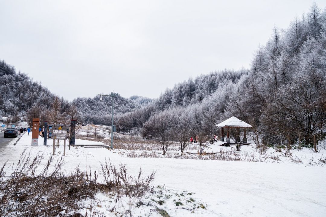 重庆茅草坝滑雪场有住宿吗