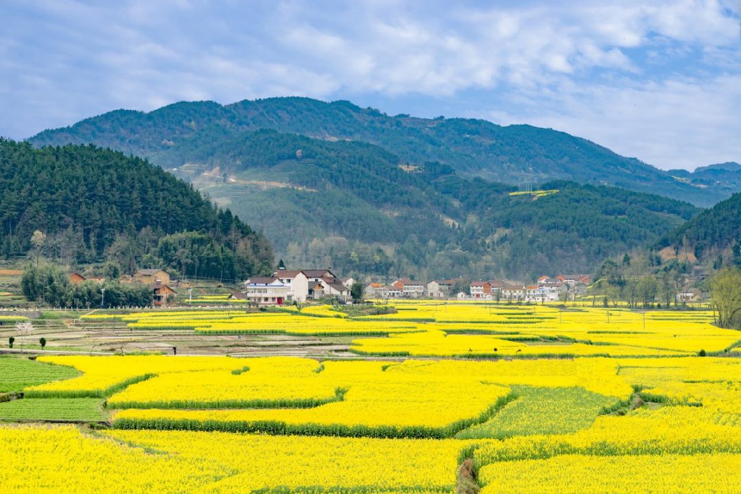 重庆潼南菜花节在什么地方?(附交通路线)